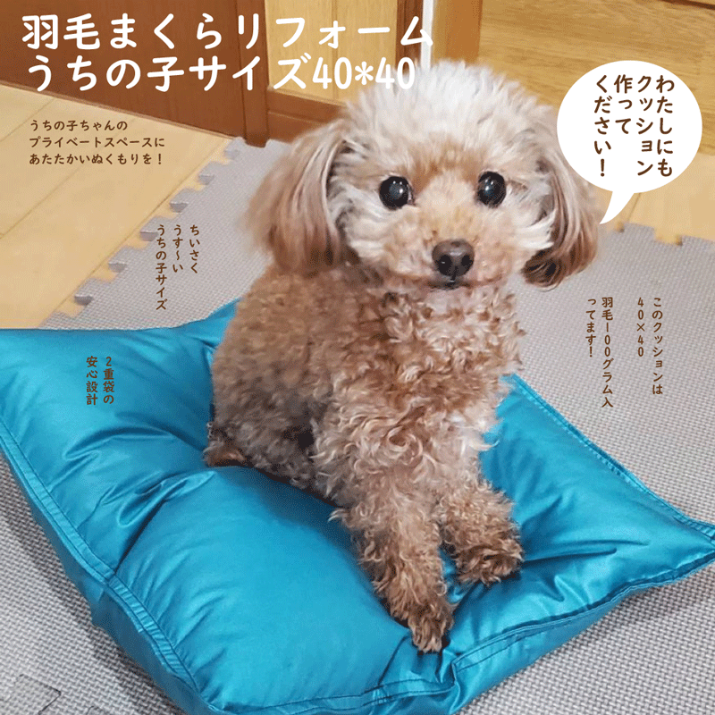 【最短2週間】 羽毛枕 リフォーム うちの子クッション 40cm×40cm l 羽毛 まくら マクラ ピロー リホーム 羽根 羽 ダウン フェザー 犬 猫 ベッド 秋冬 シニア犬 ペット用 ペットベッド ふわふわ ソファー 成犬 老犬 小型犬 介護 犬用ベッド 猫用ベッド 犬用クッションのサムネイル