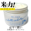 ぬかっち オールインワンゲル 150g l オールインワンジェル 無添加 パラベンフリー 米ぬか 化粧水 乳液 美容液 オールインワン モイスチャー ジェル 化...