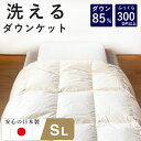 洗える 羽毛 肌掛け布団 1枚 日本製 シングル ダウン85% 夏用 肌掛け 洗えるダウンケット 羽毛布団 羽毛肌掛け布団 肌布団 布団 夏布団 抗菌 防臭 夏...