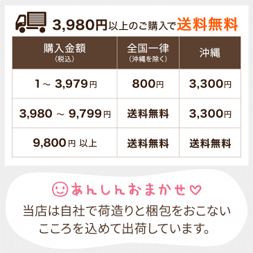 ママ・マタニティやさしい抱きまくら♪♪♪☆【N】【ギフトラッピング無料】【futonyasan】 【父の日】