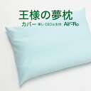 枕カバー 王様の夢枕エアロ 専用 ミントグリーン 日本製 洗える ひんやり 王様の夢枕 王様 シリーズ 王様の枕 エアロ 丸洗い 洗濯 まくら 枕 カバー まく...