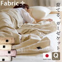 Fabric Plus (ファブリックプラス) 5重 ガーゼケット クイーンサイズ 210×210cm 日本製 クイーン 綿100％ 綿100 210 洗える 洗濯 ふわふわ くしゅくしゅ 春 夏 秋 冬 大人 子ども 子供 大判 おしゃれ おすすめ 人気 厚手 オールシーズン 高級 ベージュ グレー ガ【母の日】