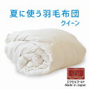 夏に使う羽毛布団 クイーンサイズ 210×210 エクセルゴールドラベル イングランド産ダウン90% 日本製 夏用 羽毛布団 軽量 クイーン 210 おすすめ 人気 エアコン 冷え 対策 夏 掛け布団 掛布団 布団 ふとん 軽い ダウン90% 体温調節 温度調節 夏掛け 合掛け 肌掛け 羽毛