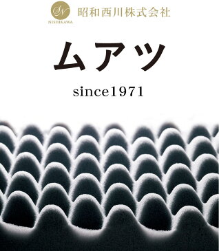 【あす楽12時まで！】【正規品 当店限定】ムアツまくら メンズ 昭和西川 点でしっかり支える muatsu 枕 【調節できる 日本製 西川 ムアツ 無圧 枕 ピロー パイプ 備長炭 洗える 高さ調節 プレゼント】【送料無料】【ギフトラッピング無料】【N】【futonyasan】