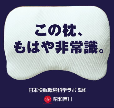 昭和西川 GIGA MAKURA ギガ枕 頭から背中までサポート!身体の約40%の重さを支える大判まくら【ギフトラッピング無料】【枕 まくら ピロー 大きい 大判 ビッグ 上半身 いびき 肩こり 寝返り 仰向け 横向き 洗える 体圧分散 快眠枕 安眠枕】【N】【futonyasan】