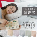 HONTO(ホント) ミレニアム ブックピロー (枕カバー 付