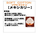 最高級コットン（メキシカリー）100％使用綿わた入り肌ふとん 2