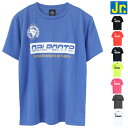 DalPonte ダウポンチ ジュニア 半袖 プラクティス Tシャツ DPZ90J