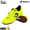 デスポルチ/Desporte フットサルシューズ(ターフ/人工芝用)/カンピーナスJTF5(店舗別注限定モデル)(DS-1440BT)
