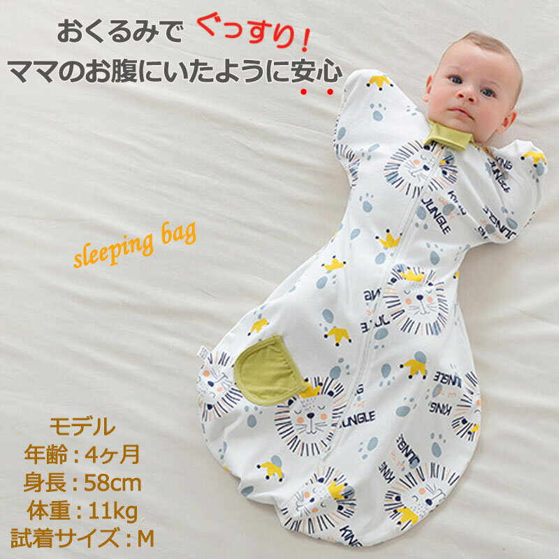 ��2���åȤ������ξ��100�߰��� ����̵�� �٥ӡ� ������� ���åȥ�100% ������� ��㤭�к� ������ �֤���� ����ɥ� ���꡼�ѡ� �����ȿ���к� ��̲ �����㤭 �������� �к� ���襤�� ��100%