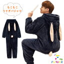 着ぐるみ パジャマ メンズ 可愛い うさぎ耳 オールインワン 大人用 モコモコ ルームウェア 着る毛布 動物 冬物 男性 パジャマ 厚手 ルームウェア 修学旅行 男子 中学生 部屋着 前開き フード付き 寝巻き おもしろ 防寒 暖かい 春秋 彼氏 新年 プレゼント 学園祭 ギフト