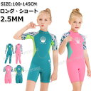 【300円クーポン】ウェットスーツ 子供用 女の子 3mm 2mm セパレート ウェットスーツ 防寒 スキン ロングスリーブ ウェットスーツ キッズ 子ども用 ...