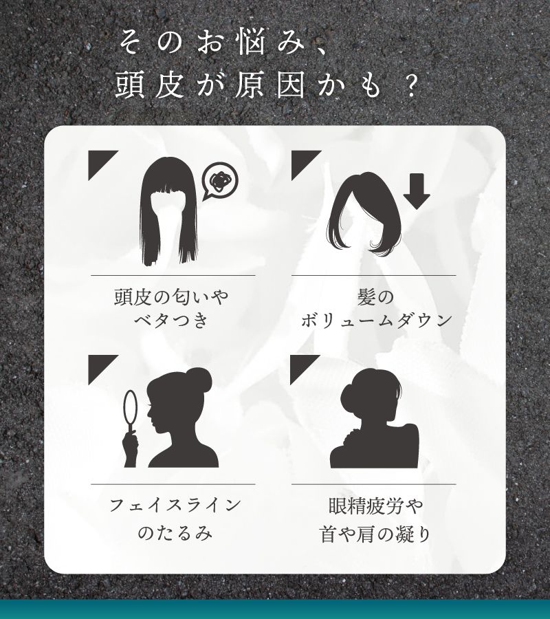 ������硿2/10�ޤ�30%�������ݥ� ��SNS������� �����ס��֥饷 ��� ���ꥳ�� ������ץ֥饷 �ޥå������֥饷��� �ޥå����� ���� ������ץ֥饷 Ƭ��ޥå������֥饷 �إåɥ��� �ޥå������֥饷 Ƭ�饱�� Ƭ�� ��ư Ƭ��ޥå����� ����