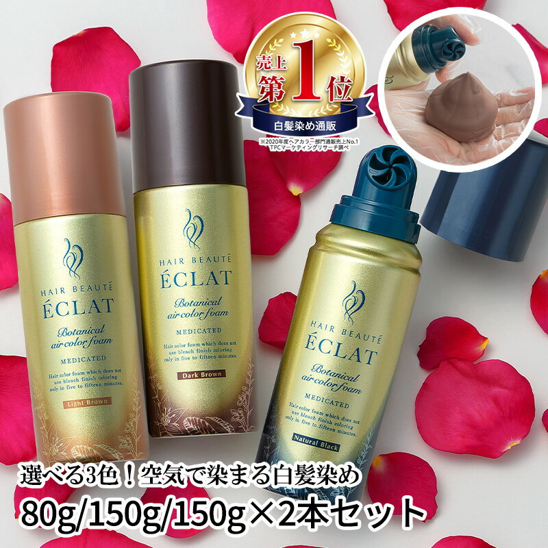 ダリヤ サロンドプロ 泡のヘアカラー EX メンズスピーディ 早染め 白髪用 6 ダークブラウン 1セット【正規品】【mor】【ご注文後発送までに1週間前後頂戴する場合がございます】