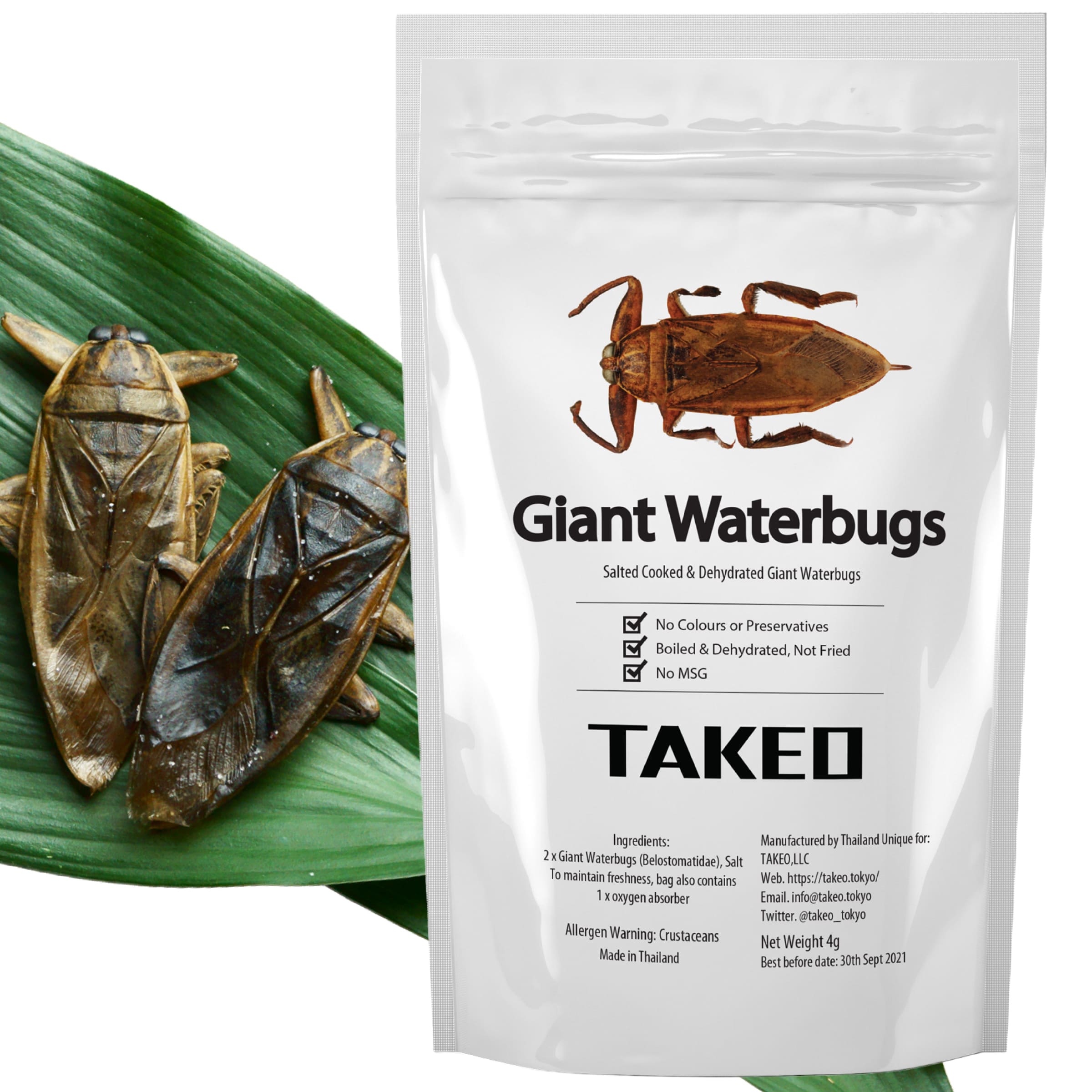 Rakuten - 昆虫食TAKEO タガメ 2匹 塩味 タイワンタガメ ジャイアントウォーターバグ そのまま食べれる昆虫食 昆虫スナック 香りはしない 初心者 ギフト プレゼント 罰ゲーム非推奨 国内正規品【創業10年】【シリーズ累計18万袋突破】