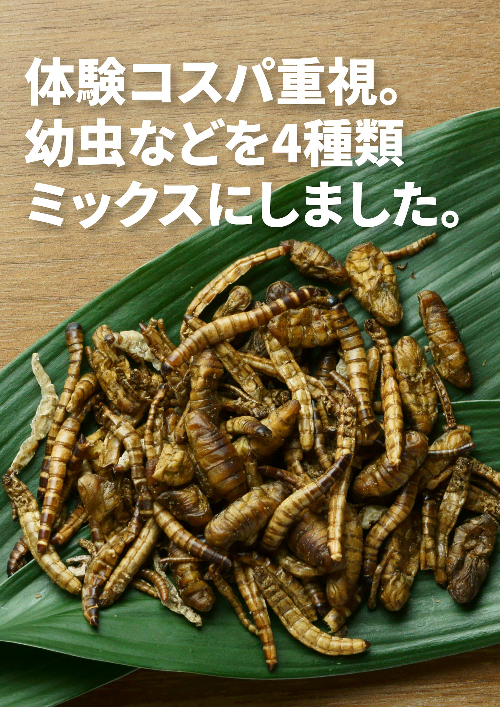 昆虫食TAKEO 幼虫ミックス 15g 塩味 4種MIXセット ミルワーム スーパーワーム シルクワーム サゴワーム そのまま食べれる昆虫食 昆虫スナック 初心者 ギフト プレゼント 罰ゲーム非推奨 国内正規品【創業10年】 futurenautakeo-10000003 FUTURENAUT x TAKEO 楽天市場店 サンプル画像3