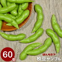 【予約商品】【期間限定DEALポイントバック15%】 食品サンプル 枝豆 えだまめ 60個セット サンプル品 見本 見本品 模造 フェイク イミテーション 材料...