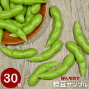 【予約商品】【期間限定DEALポイントバック15%】 食品サンプル 枝豆 えだまめ 30個セット サンプル品 見本 見本品 模造 フェイク イミテーション 材料...