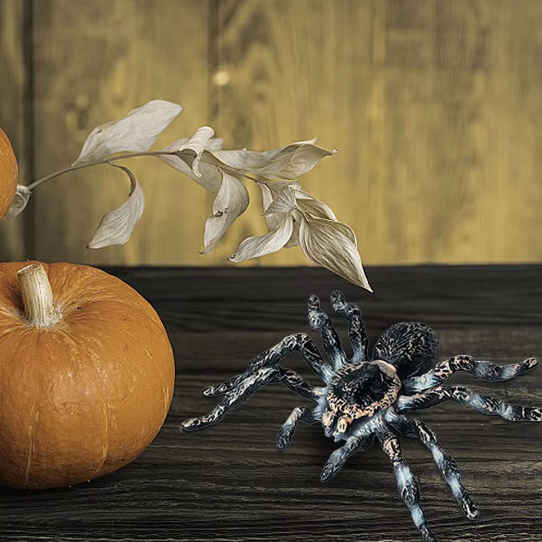 【期間限定DEALポイントバック15%】【普通郵便発送】 ハロウィン装飾 リアルスパイダー 置物 蜘蛛 1個 玩具 クモ スパイダー タランチュラ ハロウィン ...