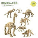 【期間限定DEALポイントバック15％】 玩具 恐竜 骨 フィギュア 12種類セ