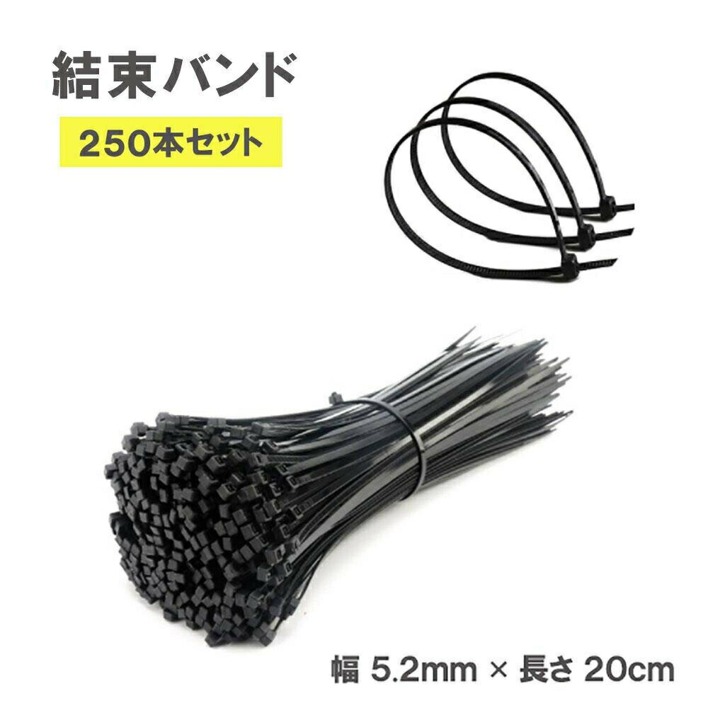 【期間限定DEALポイントバック15%】 結束バンド ブラック 250本セット インシュロック 黒 多用途 ストラップ 荷物 結束ベルト マジックバンド マジッ...