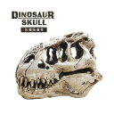 恐竜 ティラノサウルス 頭蓋骨 骨 骨格 模型 頭 置物 玩具 バースデー おもちゃ 男の子 ど迫力 Birthday ダイナソー ジュラ紀 ジュラシック 白亜紀 子供 プレゼント キッズ パーティー かわいい チャーミング 誕生日