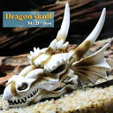 【期間限定DEALポイントバック15%】 インテリア 風水 ドラゴン 頭蓋骨 龍 置物 竜 玄関 風水グッズ 開運祈願 金運祈願 風水龍 アイテム 龍神 開運 ...