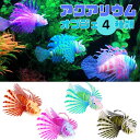 yԌDEAL|CgobN15z ANAE ~mJTS u[orIWorp[vorCG[ubN VR lH CI tBbV fish Lionfish C~l[V  zI  n ꂢ IuWF  u CeA Mы 