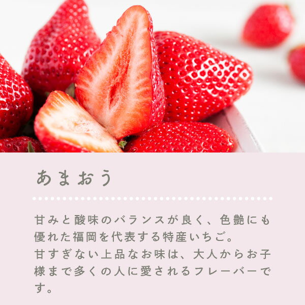 【期間限定★10％OFF：〜8/27 1:59】お菓子 お試しセット 個包装 チョコ | BeFactory クランチショコラバー お試しセット 15本入 【5】 冷蔵 宅急便発送 メール便 mailbin fuubian-10000253 博多風美庵 楽天市場店 サンプル画像3