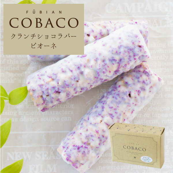 博多風美庵 チョコレートバー COBACO クランチショコラバー（ピオーネ）3本 | プギフト スイーツ 1人用 プチギフト お礼 ご挨拶 退職 異動 転勤 入学 卒業 引越し（宅急便発送） Pgift