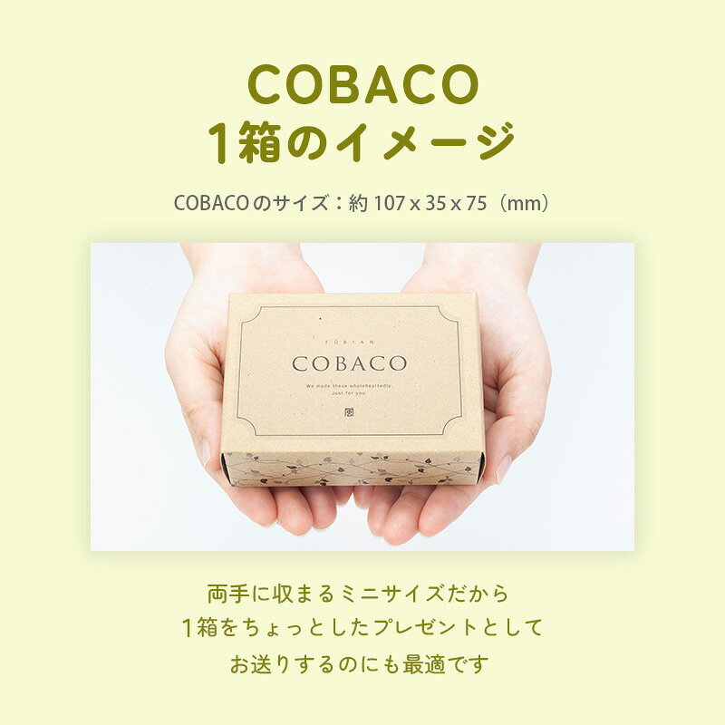 COBACO���祤�����åȡ�12Ȣ���åȡۡòİ��餷���פ����եȤ�COBACO9����Τ��ۻҤ������٤���祤�����å� �����롡��� ���ۻ� �������ĥ��ե� �²ۻ� �βۻ� ¨��ȯ���б� ����̵���������ȯ���� Agift