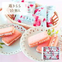 苺きらら お試しセット10個入<...