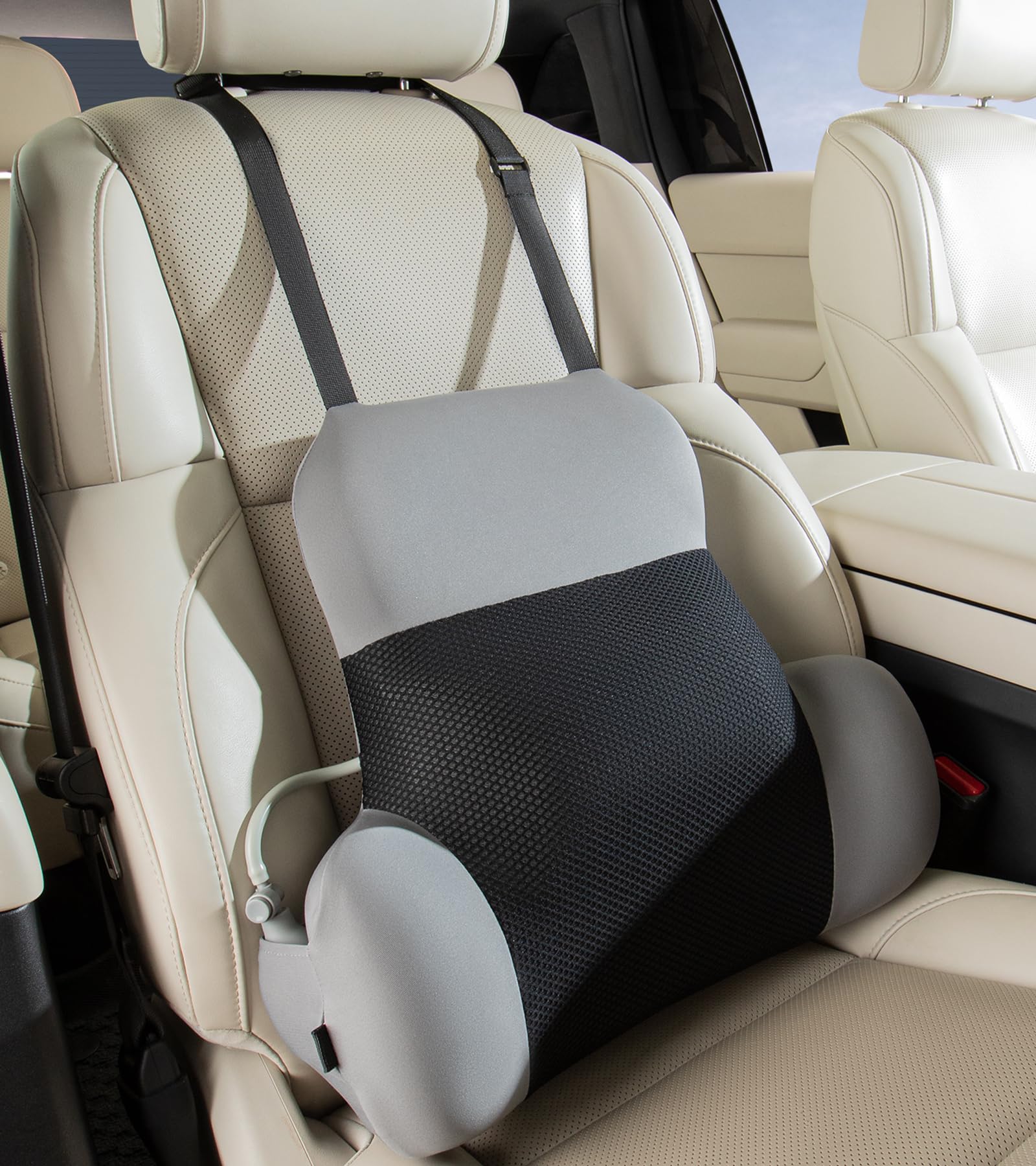 BABUR å Сݡ ꡼ե ȿȯ ʹֹ߷ к /ե/ߥ󥰥/եб 곰...