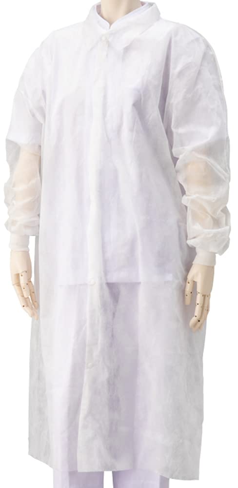 Ե 󥬡 С MP ե꡼ 10 OK0250-WP ۥ磻