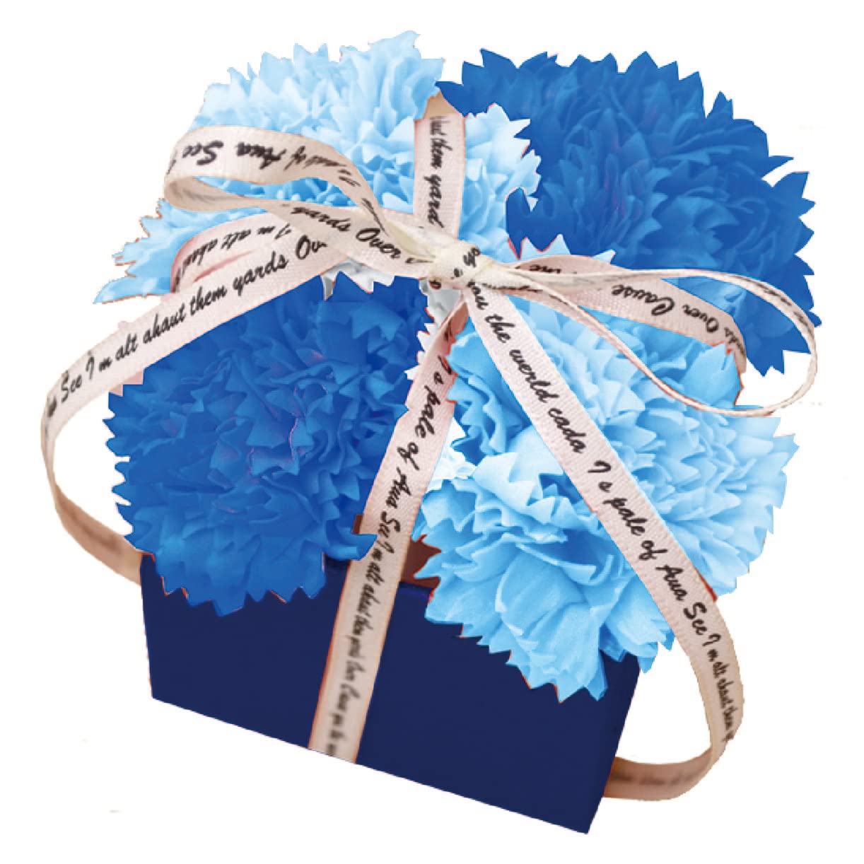 ݥԡ̾Ų ץե ܥե ¤ ե ץ쥼 եBOX ͡ ܥå 9cm Ȣդ S-111 ֥롼