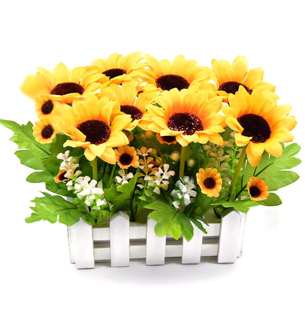 BEADY ҥޥ ¤ ͹տʪ ¤  ե꡼ ƥꥢ ե ˤ