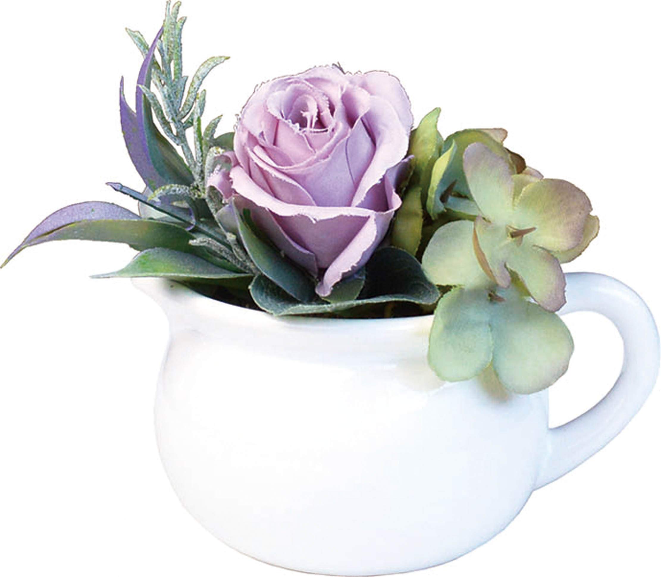 ѥ ƥꥢ꡼  ¤ տʪ ֡ PP W11D10H12cm (եȥܥå) PP