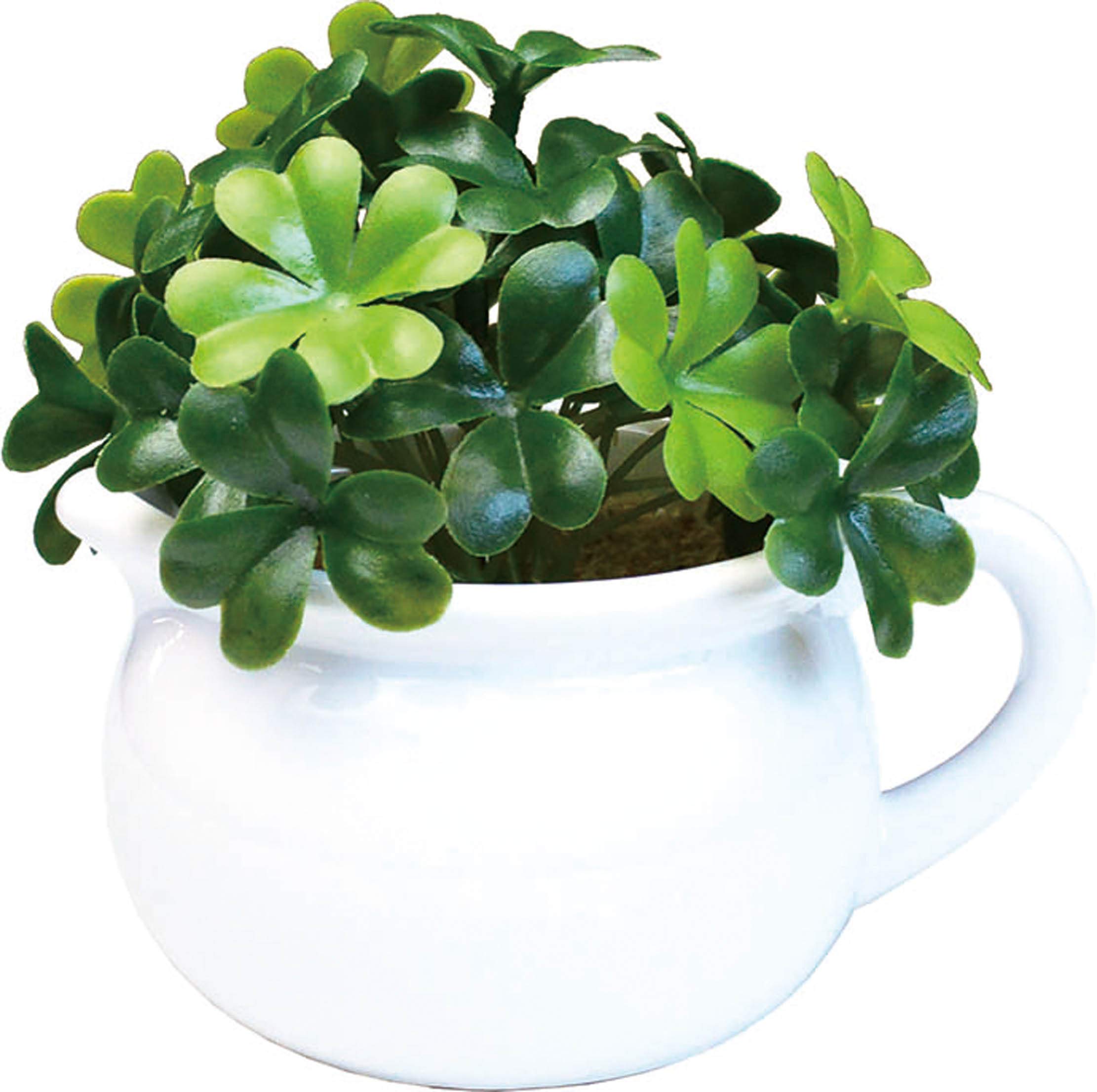 ѥ ƥꥢ꡼  ¤ տʪ С W11D10H14cm (եȥܥå) PP