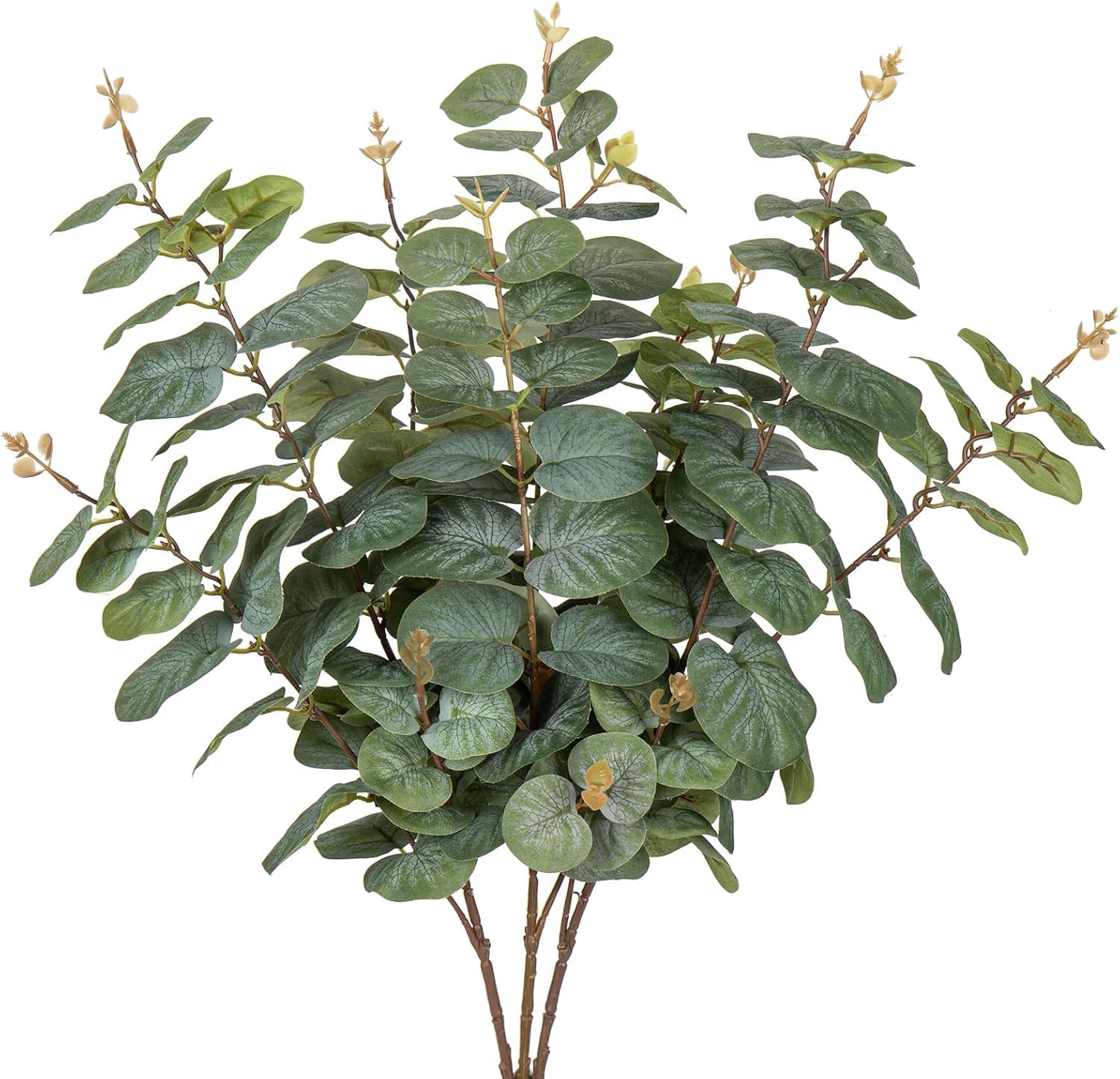 Villa Como ƥꥢ꡼ ե꡼ ¤ 桼 3 80cm ͹ տʪ  ñ养  ...