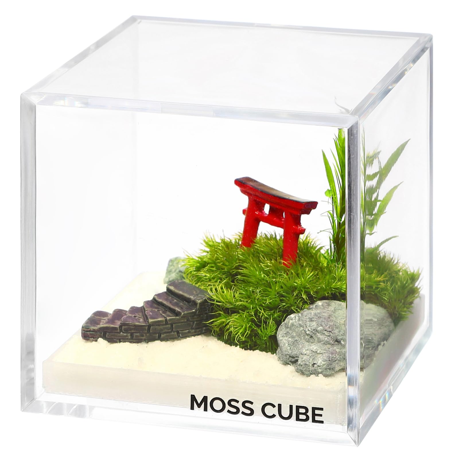 【MOSS CUBE Preserved 苔庭と鳥居】B プリザーブド苔 枯れない苔 テラリウム コケリウム 国産苔 水やり不要 ミニチュア キューブ 6.5c...
