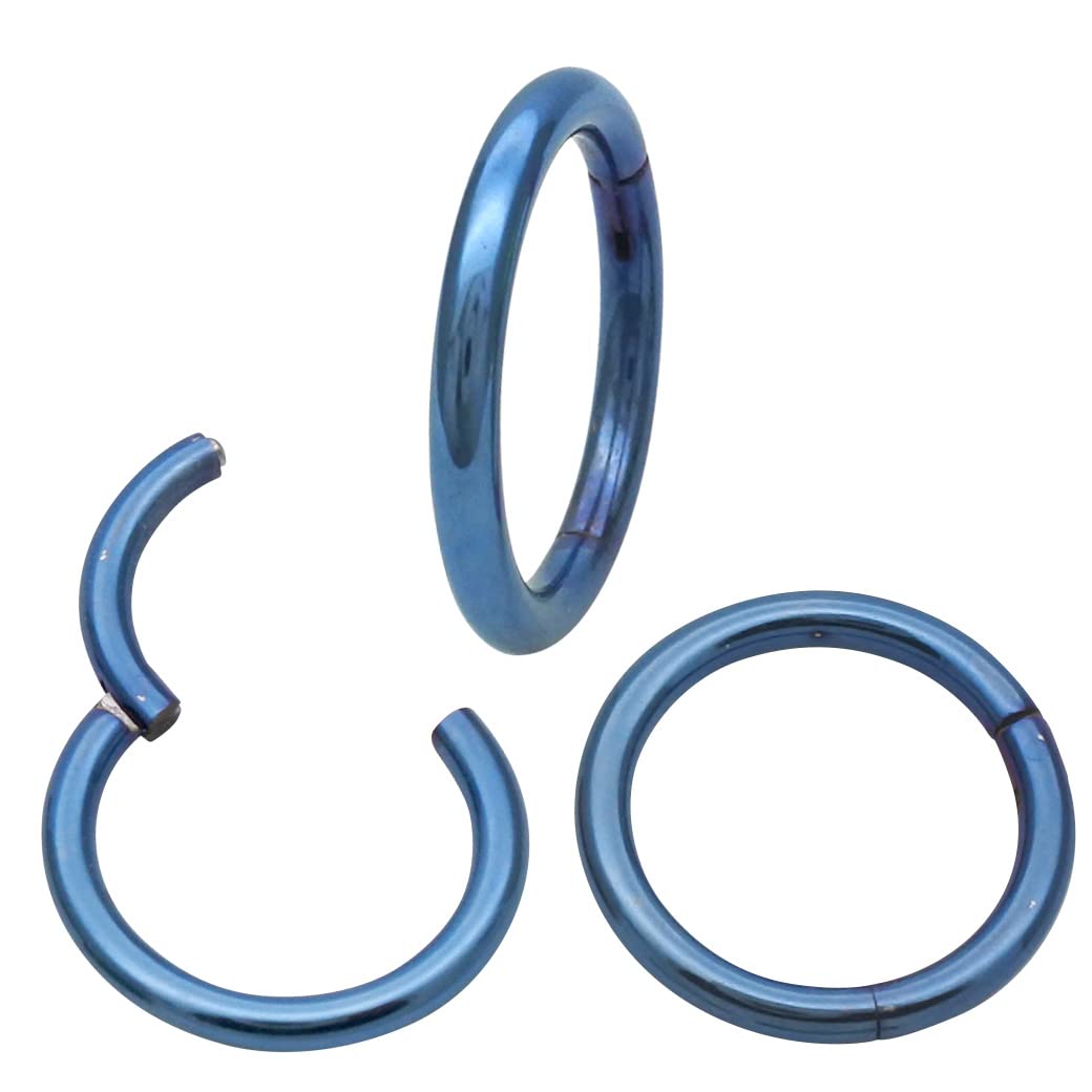 [スパイシーリップス] サージカルステンレス ボディピアス 軟骨ピアス カラフル セグメントリング ヒン..