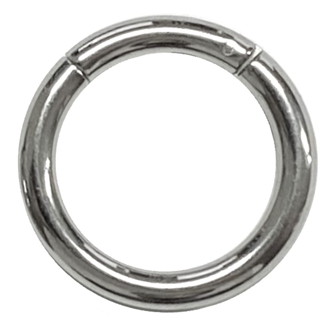 [グリーンピアッシング] ボディピアス 10G 10ゲージ チタンセグメントクリッカー (内径)12mm ヒンジ付..