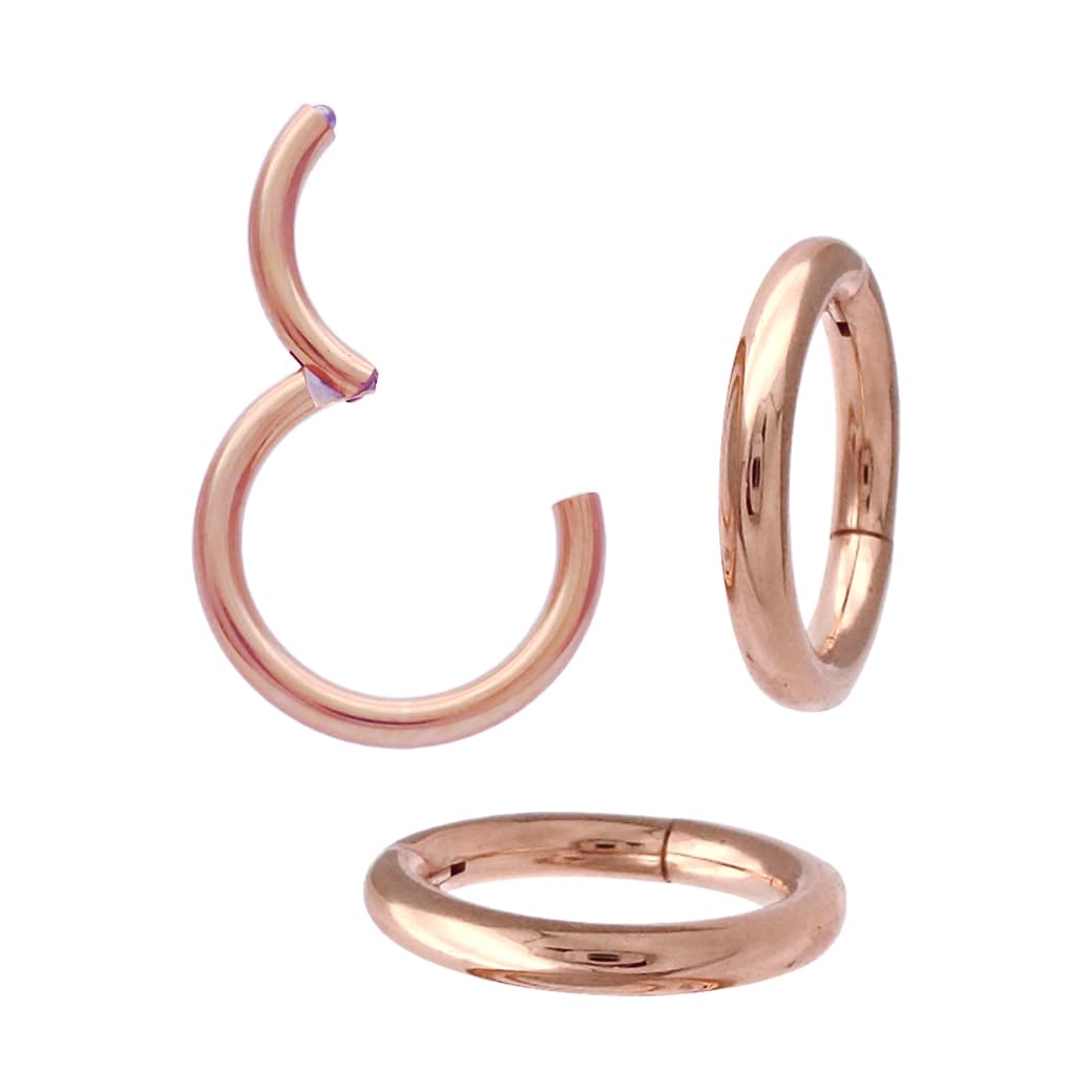 [スパイシーリップス] 16G ピンクゴールド セグメントリング ヒンジ付 サージカルステンレス316L ワン..