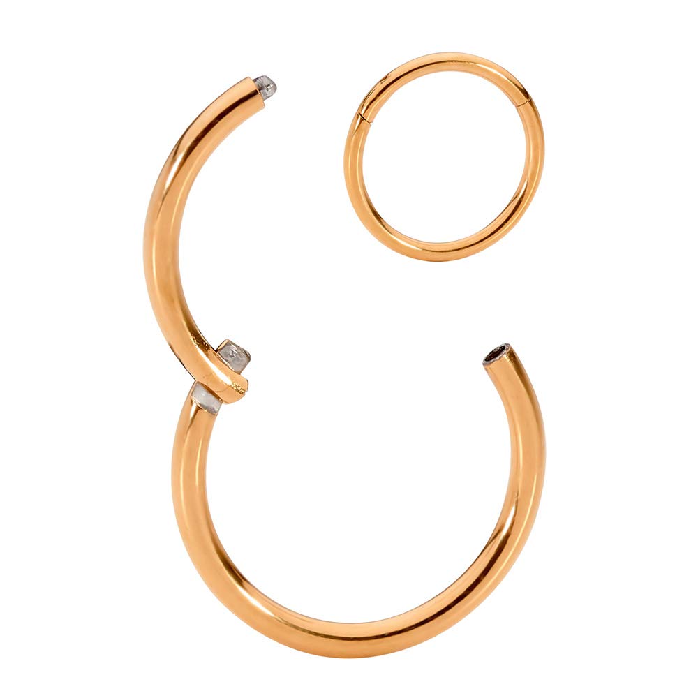 [365 Sleepers] レディース 316L サージカル スチル ヒンジ付き シームレス セグメント リング ボディ ..