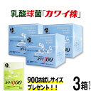 楽天fuwalu -フワル-【正規代理店】カワイ300 mg 3箱セット プレゼント付き カワイ900 お試しサイズ 【 カワイ株 乳酸菌 サプリ サプリメント 粉末 乳酸球菌カワイ株含有食品 】