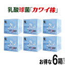 【正規代理店】カワイ 300 6箱セット プレゼント付き カワイ900 お試しサイズ 【 カワイ株 乳酸菌 サプリ サプリメント 粉末 乳酸球菌カワイ株含有食品 】 kawai 300mg カワイ株