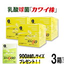 【正規代理店】カワイ80 mg 3箱セット プレゼント付き カワイ900 お試しサイズ 【 カワイ株 乳酸菌 サプリ サプリメント 粉末 乳酸球菌カワイ株含有食品 】