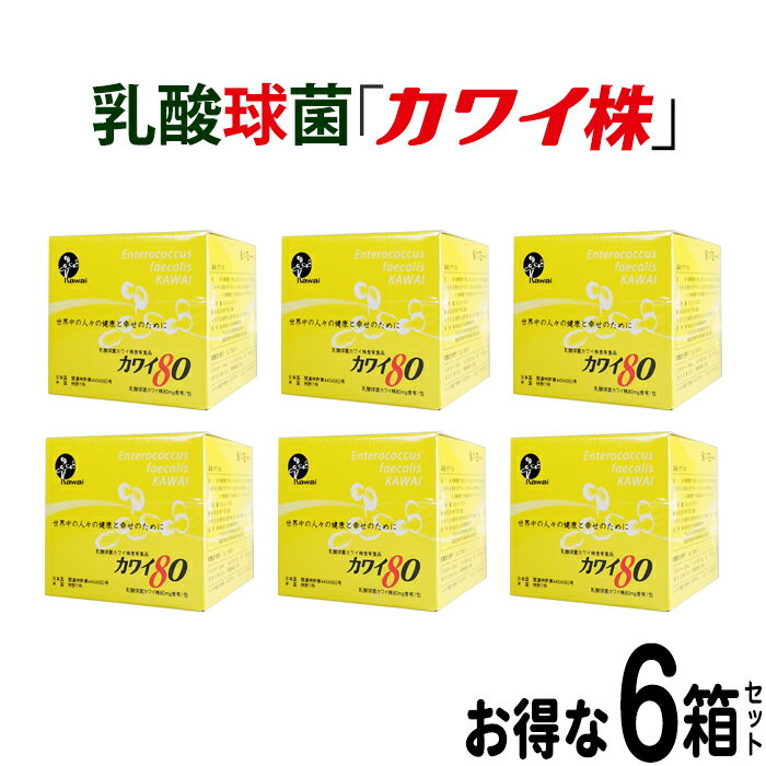 ＼お得なクーポン配布中 ／ 【正規代理店】カワイ 80 6箱セット プレゼント付き カワイ900 お試しサイズ カワイ株 乳酸菌 サプリ サプリメント 粉末 乳酸球菌カワイ株含有食品 kawai 80mg カワ…