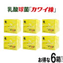 ＼お得なクーポン配布中！／ 【正規代理店】カワイ 80 6箱セット プレゼント付き カワイ900 お試しサイズ　カワイ株 乳酸菌 サプリ サプリメント 粉末 乳酸球菌カワイ株含有食品 kawai 80mg カワイ株