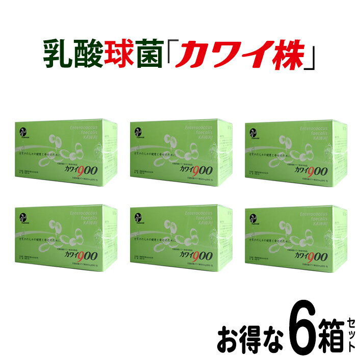 カワイ900 mg 6箱セット プレゼント付き カワイ900 お試しサイズ 【 カワイ株 乳酸菌 サプリ サプリメント 粉末 乳酸球菌カワイ株含有食品 】 kawai 900mg カワイ株